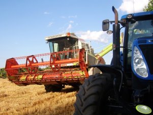 Claas Dominator 150 & NH T6080pc