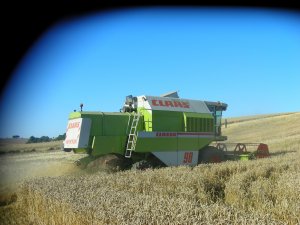 Claas 98