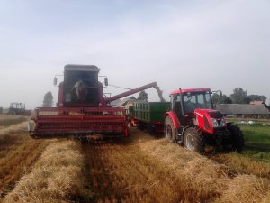 Bizon | Zetor Proxima