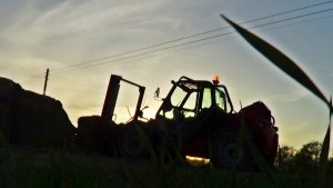Massey Ferguson 8937