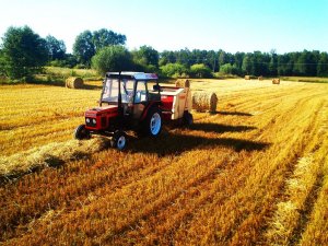 Zetor 7211 & Krone kr 125
