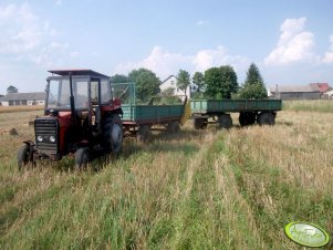 Massey Ferguson 255 + rorzutnik + d-46