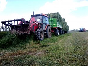 Zetor 7340, Unia Brzeg P-10 Long i Platforma do bel