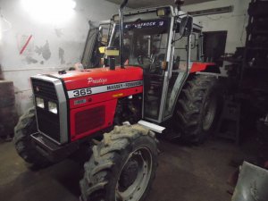 Massey Ferguson 365