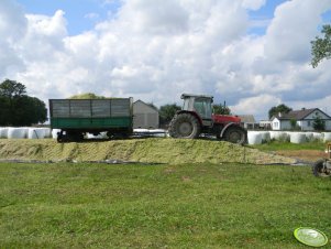 Massey Ferguson 3080   & Sanok