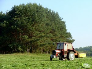 Massey ferguson 255  + kosiarka