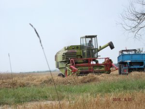 Claas Consul
