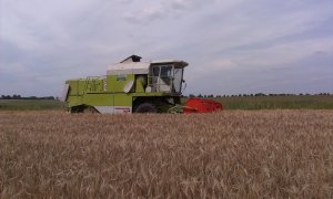Claas Dominator 76