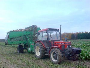 Zetor 7745 Turbo + Stoll V202