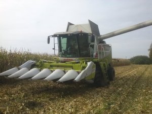 Claas Lexion 560