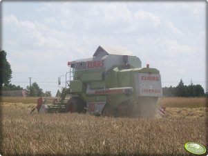 Claas Mega Dominator 203