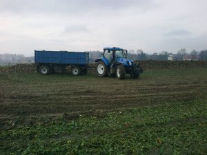 New Holland T6.175