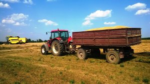 New Holland TC5040 BIZON & Zetor Forterra 11441+2x Przyczepa