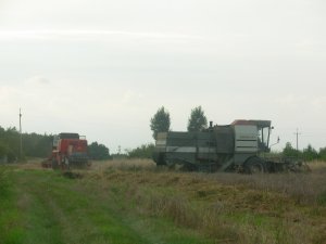 Fortschritt E514 i Bizon Z056