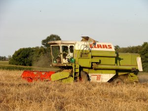 Claas Dominator 96