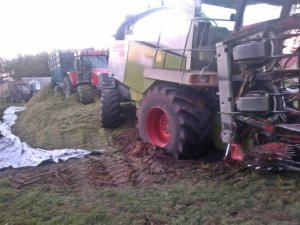 Claas Jaguar 880