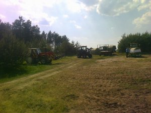 Foliowanie sianokiszonki