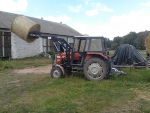 Massey Ferguson 255