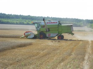 Claas Dominator 98 Classic