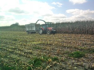 Massey Ferguson 8110 & Cynkomet