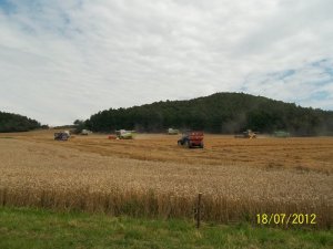 New Holland cr9090, Claas lexion 580, Claas lexion 480, Deutz Fahr Top Liner