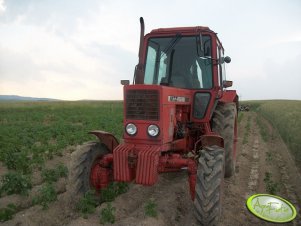 MTZ 82