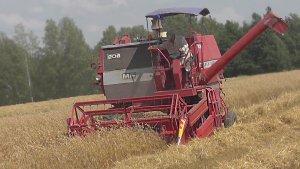 Massey Ferguson 206