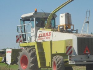 Claas Jaguar 690