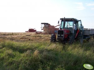 Massey Ferguson 3065