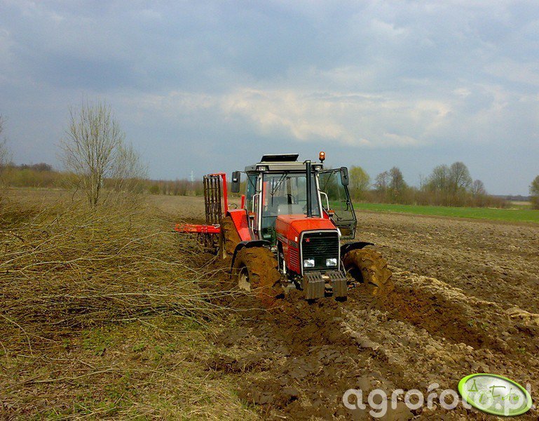 Fotografia traktor MF 3690 id:212994 - Galeria rolnicza agrofoto