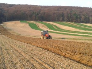 Zetor 7745 + Fermstal 4*35