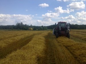 New Holland 8040 i MTZ82