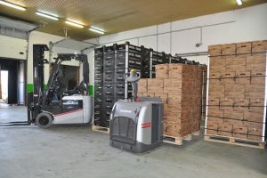 Nissan Forklift TX3 i paletowy w hali