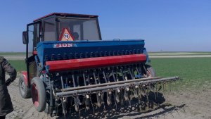 Massey Ferguson 255 + Siewnik Fiona