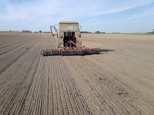 Zetor 7211 | Wał cambridge