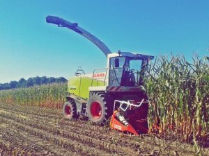 Claas Jaguar 830