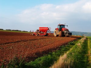 Case IH Magnum 340 + Horsch Pronto 6 DC