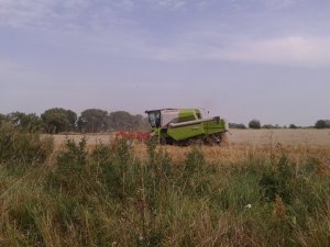 Claas Avero 240
