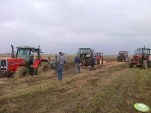 Massey Ferguson 8130