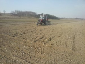 Massey Ferguson 235 & Siewnik konny