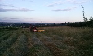 Massey ferguson 255+Kosiarka rotacyjna Virax