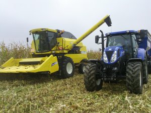 New Holland