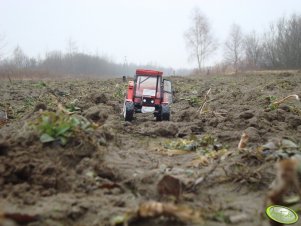 Ursus C-385A Turbo i Brzeg MX850 premium 