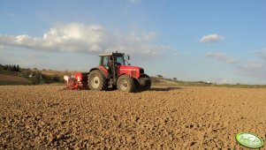 MF 8240 + Gaspardo MTE 6 BB