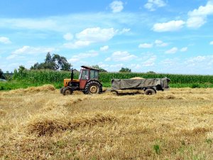 Ursus C-330 & Warfama T-032