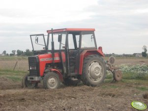 Massey Ferguson 255 + Pług