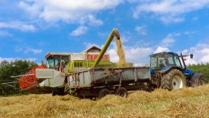 Claas Dominator 108sl & New Holland TM 135