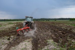 Massey Ferguson 3080 & Stal Tech U006