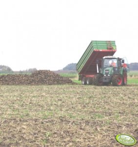 Fendt 309 CI + Naczepa Pronar T-663/1