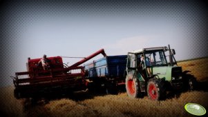 Fendt 309 LSA Turbomatik